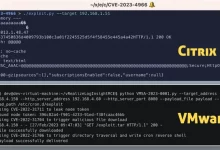 Citrix and VMware Vulnerabilities