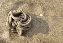 Sandworm Linked to Attack on Danish Critical Infrastructure
