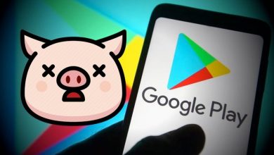 Google sues crypto investment app makers over alleged massive "pig butchering" scam