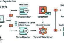 Versa Director zero day attack VersaMem