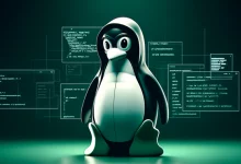 Linux Kernel Exploit