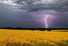 Lightning in the storm sky over the field. Lightning storm with thunderbolt in thunder