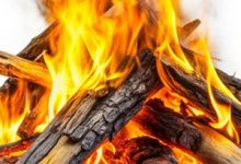 Linux Malware WolfsBane and FireWood Linked to Gelsemium APT