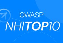 Do We Really Need The OWASP NHI Top 10?