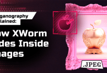 Steganography Explained: How XWorm Hides Inside Images