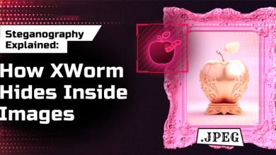 Steganography Explained: How XWorm Hides Inside Images